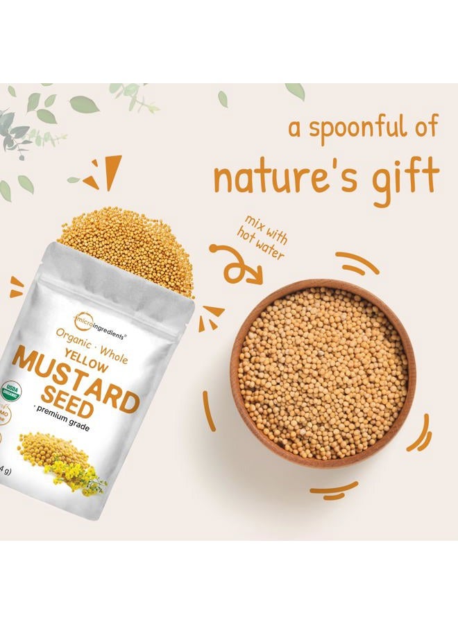 Micro Ingredients بذور الخردل الأصفر العضوي الكاملة، 4 رطل (64 أونصة) | بذور من الدرجة الممتازة | نكهة خردل خفيفة وطبيعية | رائعة للتخليل، خلطات التوابل والتتبيل | غير معدلة وراثيًا، إمدادات بالجملة - Image 5